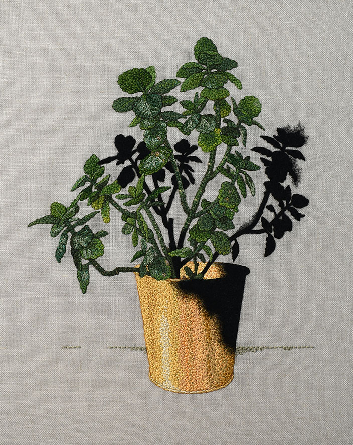 Broderi