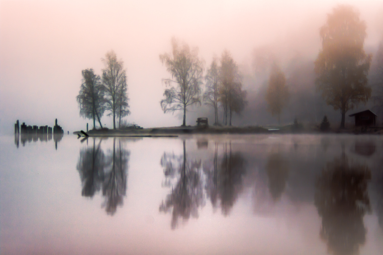 Träd i dimma som speglas i vatten