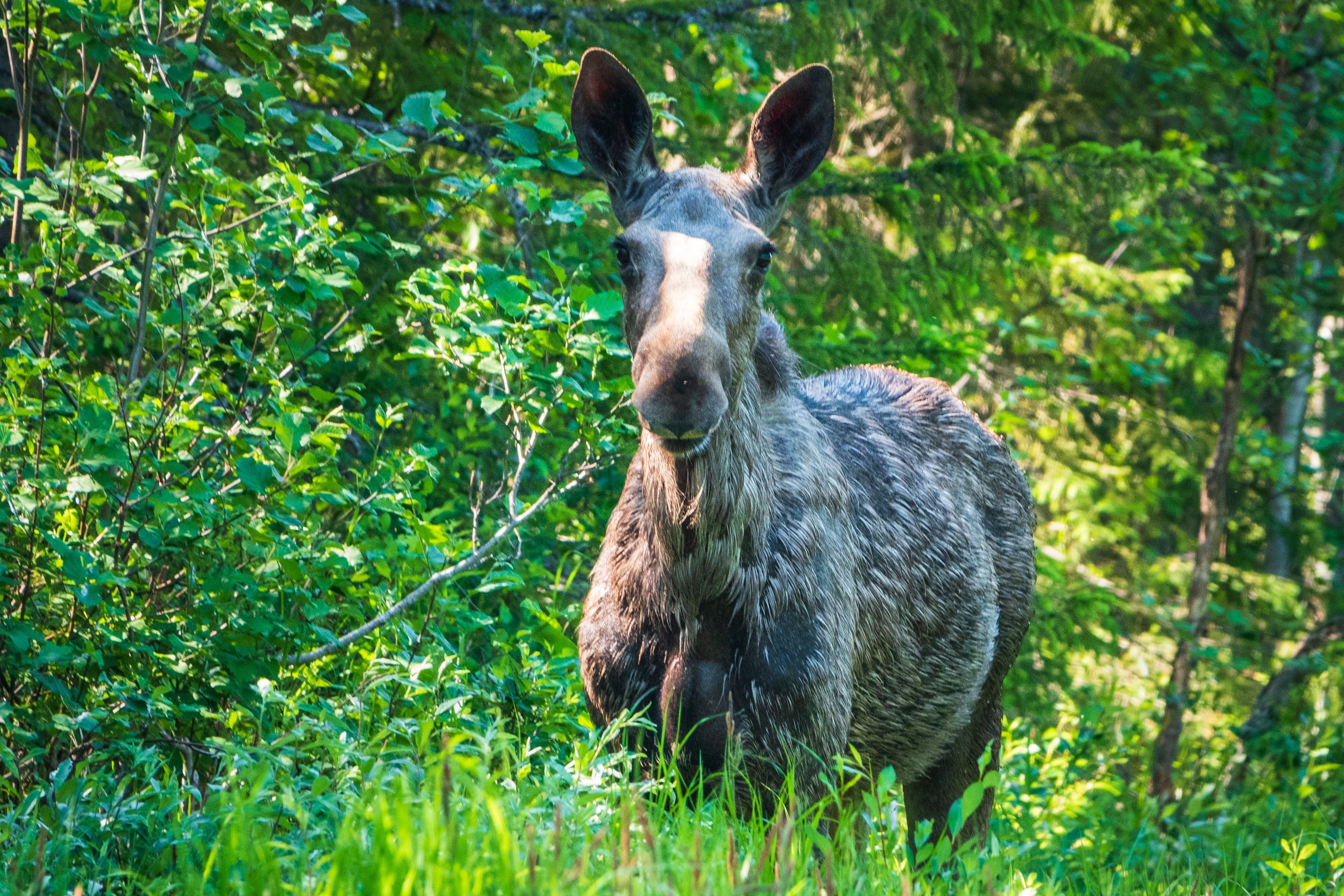 Liten grupp runt bordet med datorer i workshop